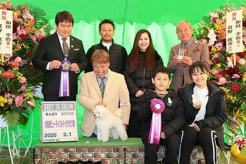 ワンちゃん コンテスト優勝！！🐶