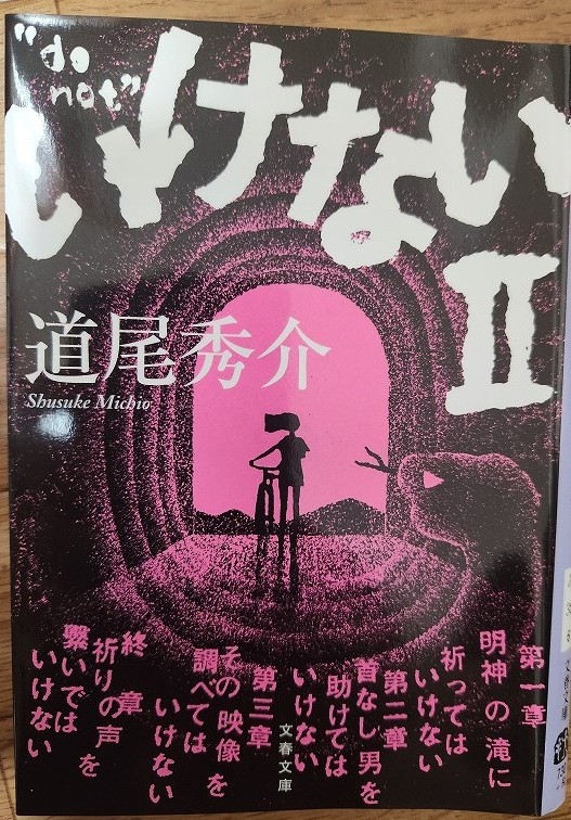 WENTZ BOOK REVIEW30「いけないⅡ」