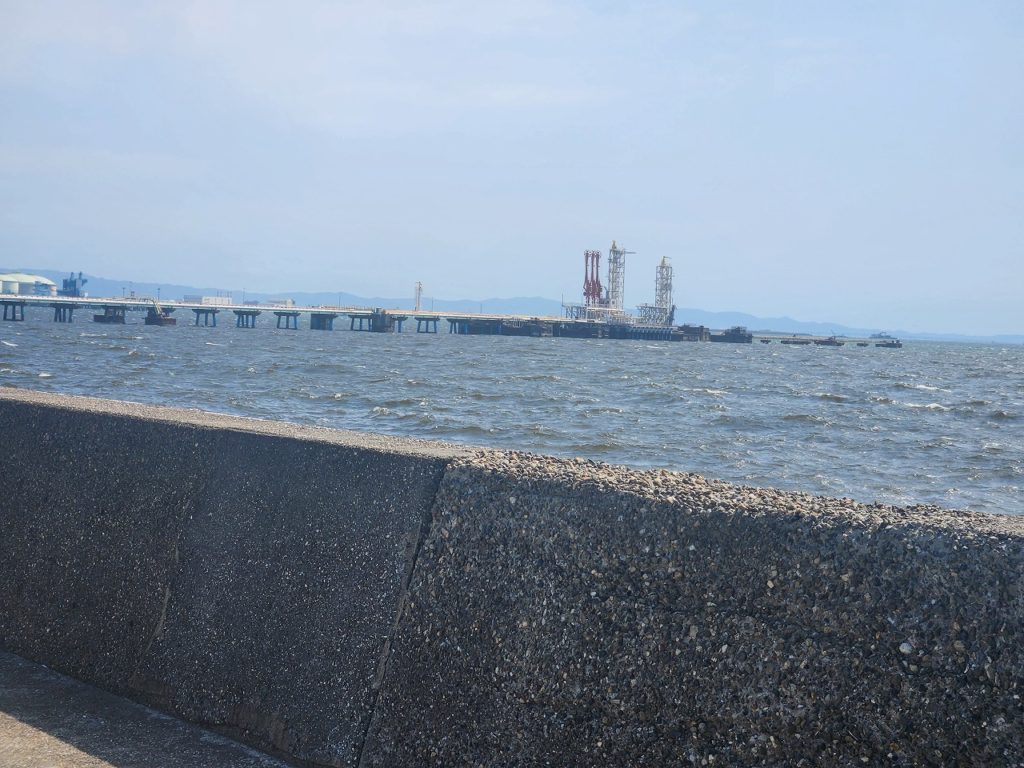 堺港でお仕事です⚓